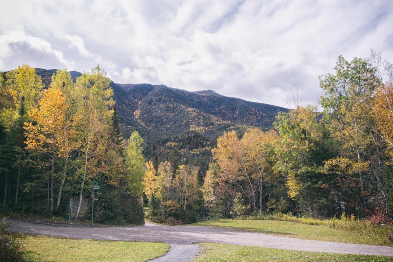 Gite Du Mont-Albert - Sepaq Sainte Anne-des-Chênes 외부 사진